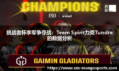 挑战者杯季军争夺战:Team Spirit力克Tundra的数据分析