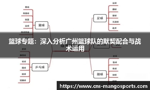 篮球专题:深入分析广州篮球队的默契配合与战术运用